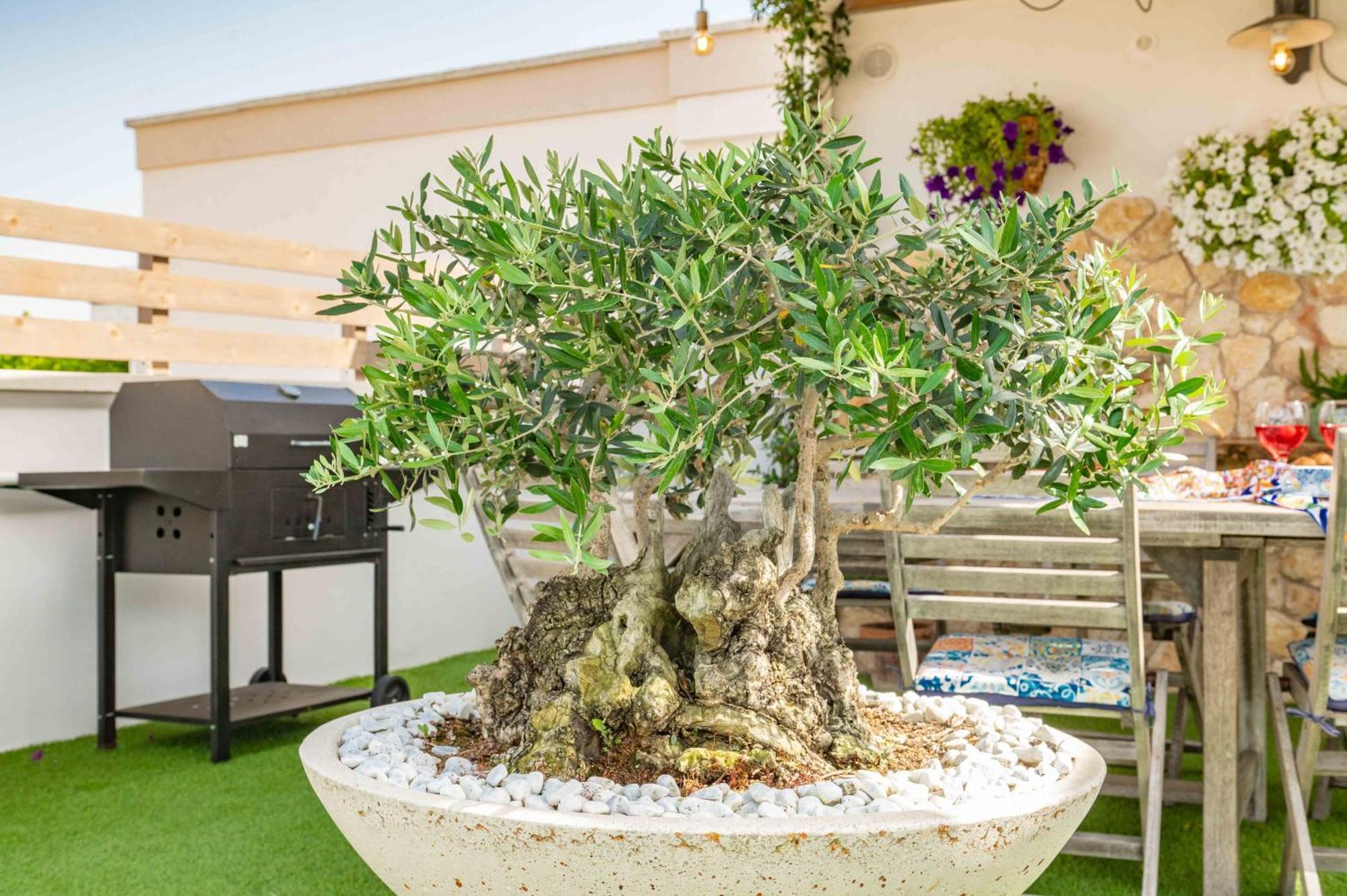 Villa il panoramico Neviano Esterno foto